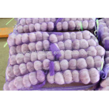 Cold Storage Red Knoblauch 250g / Tasche, 5kg / Mesh Tasche